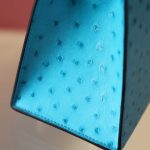 Kelly 25 Crystal Blue Ostrich GHW