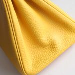 BK25 Touch Ambre Shiny Niloticus And Togo Leather PHW - BK