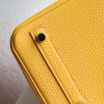 BK25 Touch Ambre Shiny Niloticus And Togo Leather PHW - BK