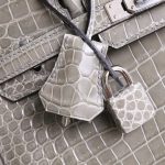 BK25 Gris Tourterelle Shiny Porosus PHW - BK