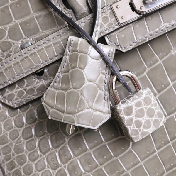 BK25 Gris Tourterelle Shiny Porosus PHW - BK
