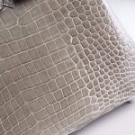 BK25 Gris Tourterelle Shiny Porosus PHW - BK