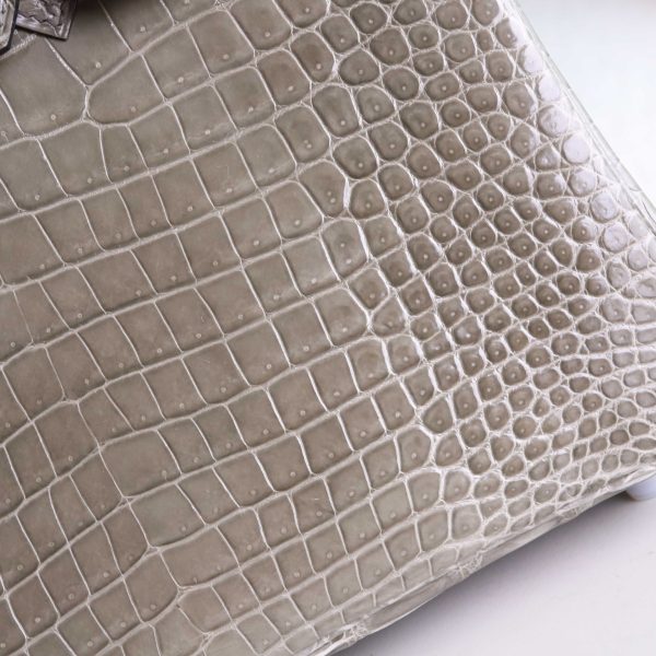 BK25 Gris Tourterelle Shiny Porosus PHW - BK