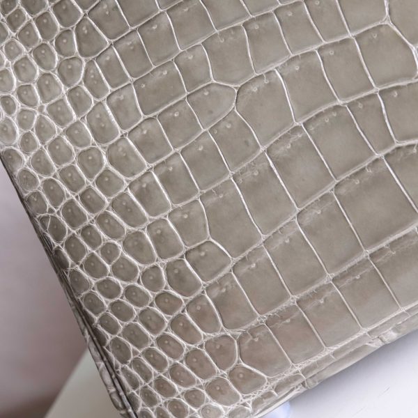 BK25 Gris Tourterelle Shiny Porosus PHW - BK