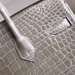 BK25 Gris Tourterelle Shiny Porosus PHW - BK