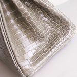 BK25 Gris Tourterelle Shiny Porosus PHW - BK