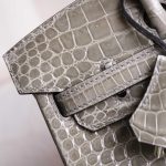 BK25 Gris Tourterelle Shiny Porosus PHW - BK