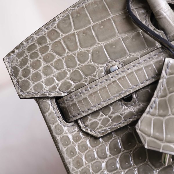 BK25 Gris Tourterelle Shiny Porosus PHW - BK