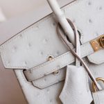 BK25 Pearl Grey Ostrich GHW - BK