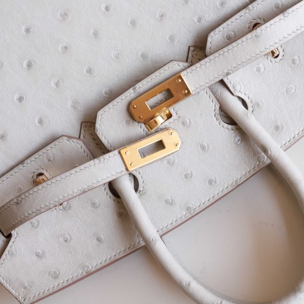 BK25 Pearl Grey Ostrich GHW - BK