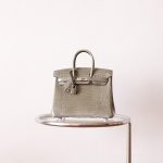 BK25 Gris Tourterelle Shiny Porosus PHW - BK