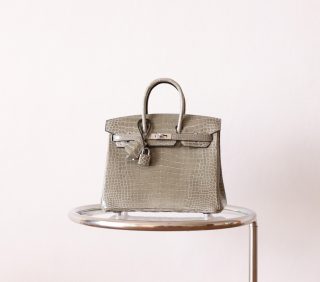 BK25 Gris Tourterelle Shiny Porosus PHW - BK