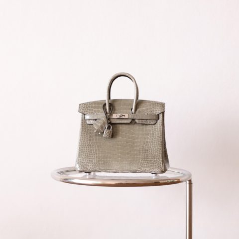 BK25 Gris Tourterelle Shiny Porosus PHW - BK