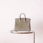 BK25 Gris Tourterelle Shiny Porosus PHW - BK
