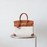 BK30 Fauve Barenia And Toile Canvas PHW - BK