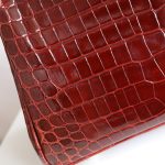 BK25 Bordeaux Shiny Niloticus GHW - BK