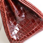 BK25 Bordeaux Shiny Niloticus GHW - BK